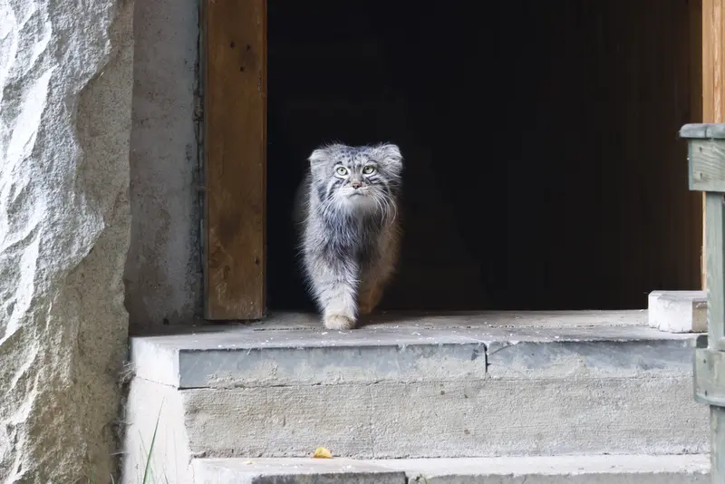 A photograph of Timofey in Moscow zoo