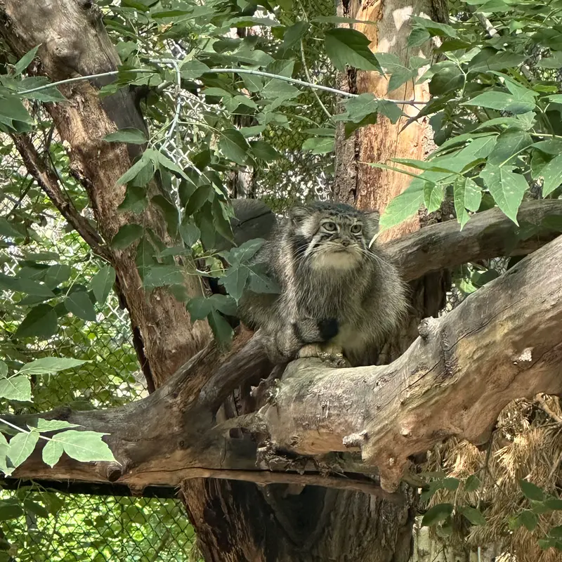 A photograph of Eve in Novosibirsk Zoo