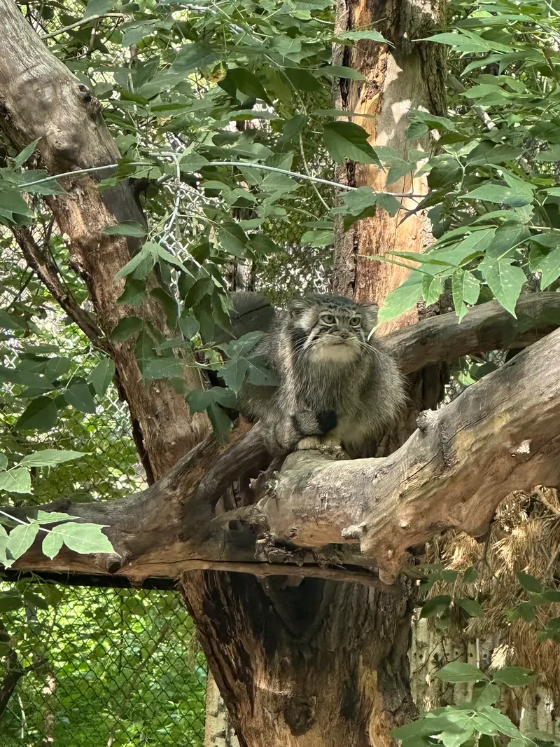 A photograph of Eve in Novosibirsk Zoo