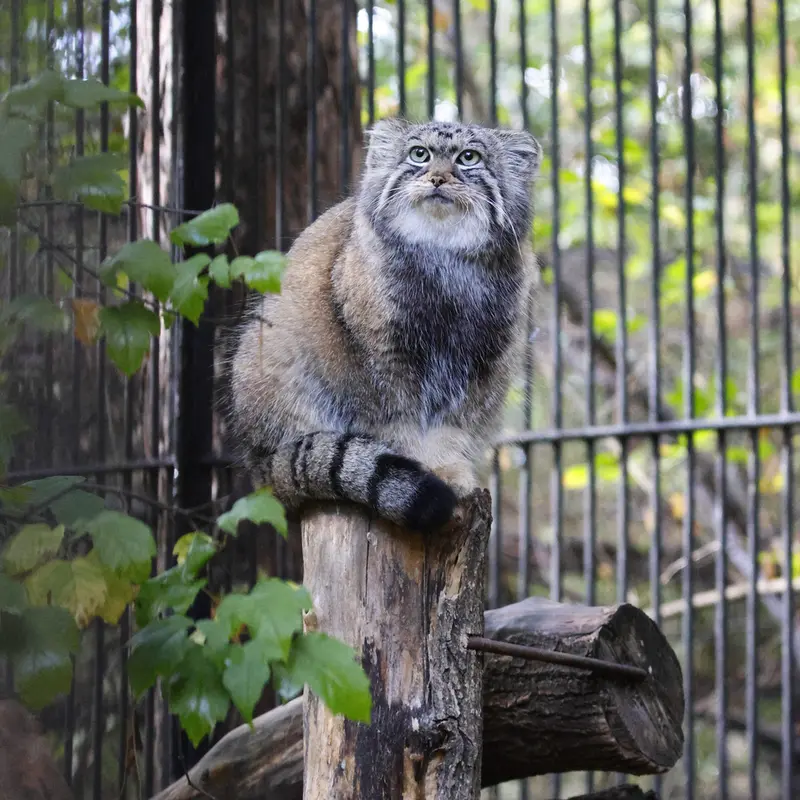 A photograph of Anya in Novosibirsk Zoo