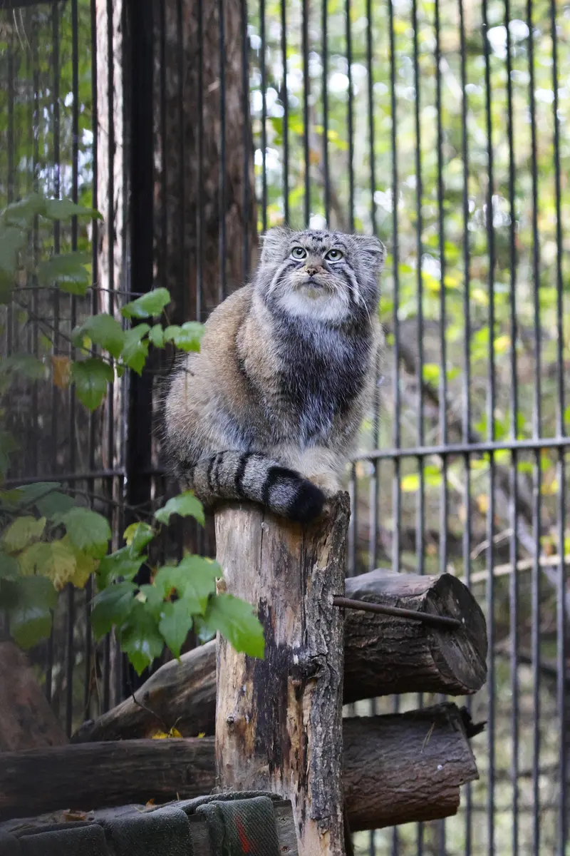 A photograph of Anya in Novosibirsk Zoo