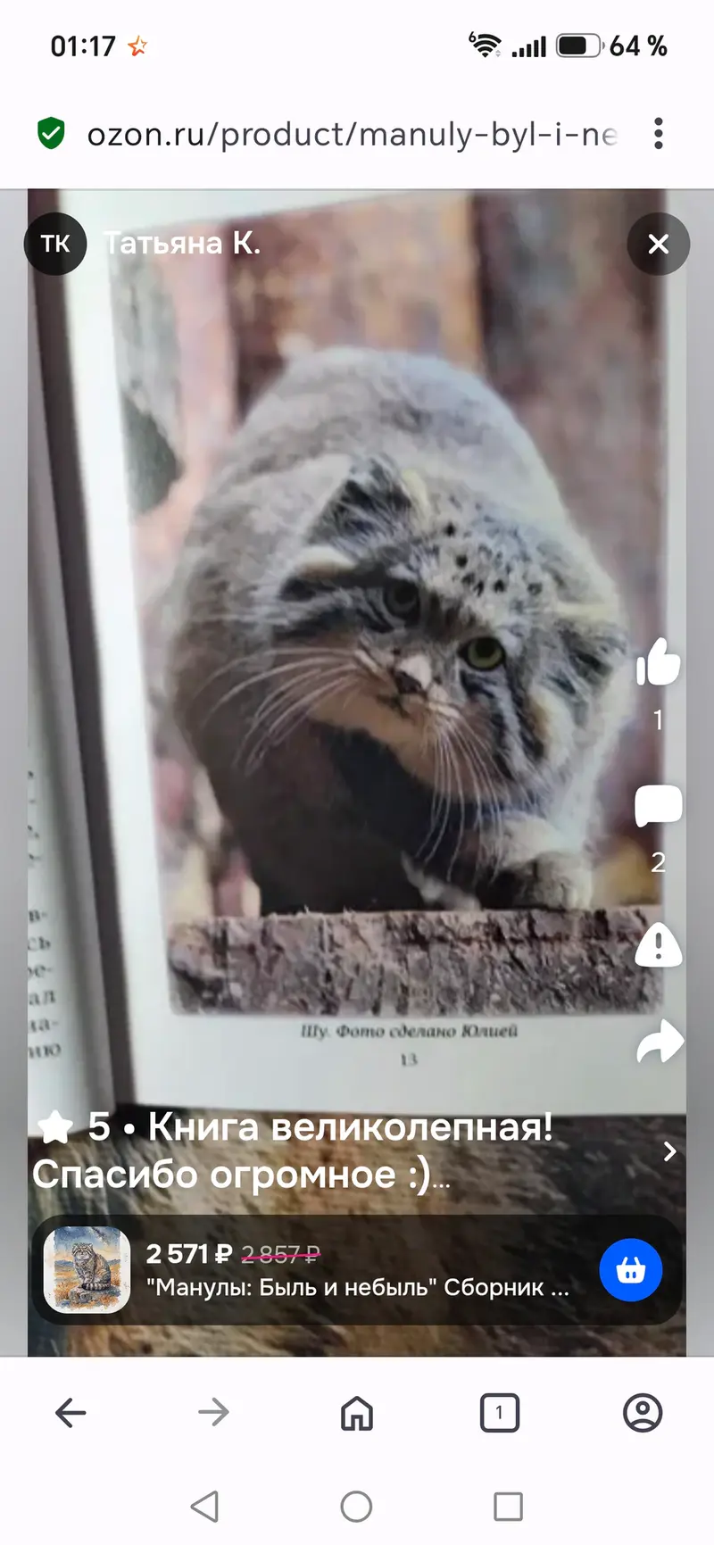 A photograph of a Pallas's cat