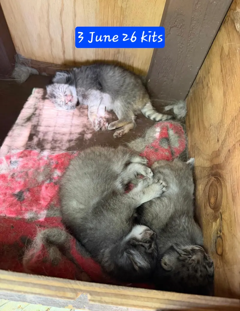 Minuls from Niabi: new shots from the zoo!😍