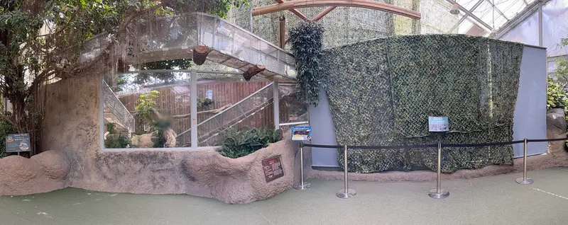 Current scenes from Kobe Animal Kingdom🐾