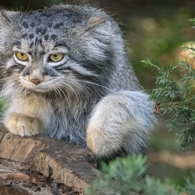A photograph of Timofey in Moscow zoo