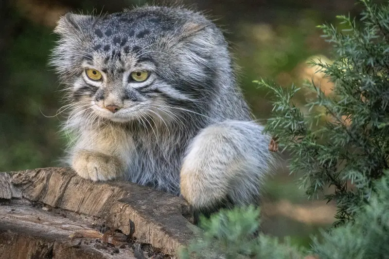 A photograph of Timofey in Moscow zoo