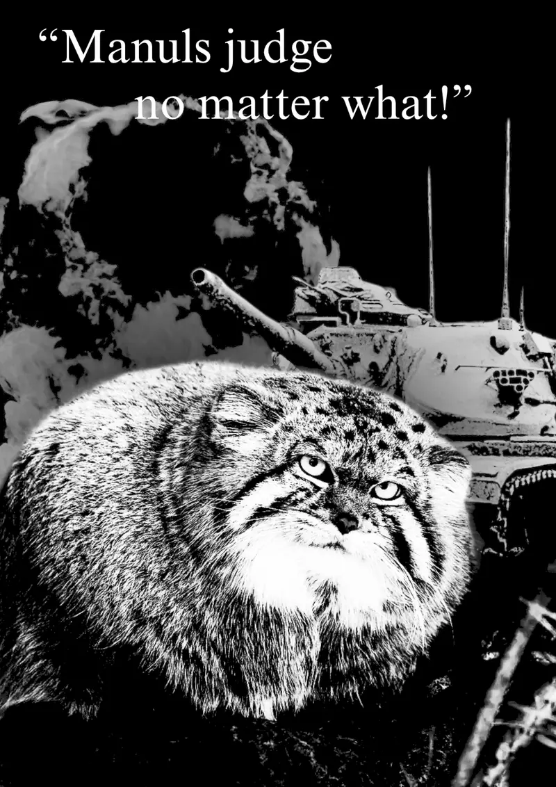A photograph of a Pallas's cat