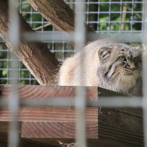A photograph of Karl-Heinz in Saarbrücken Zoo