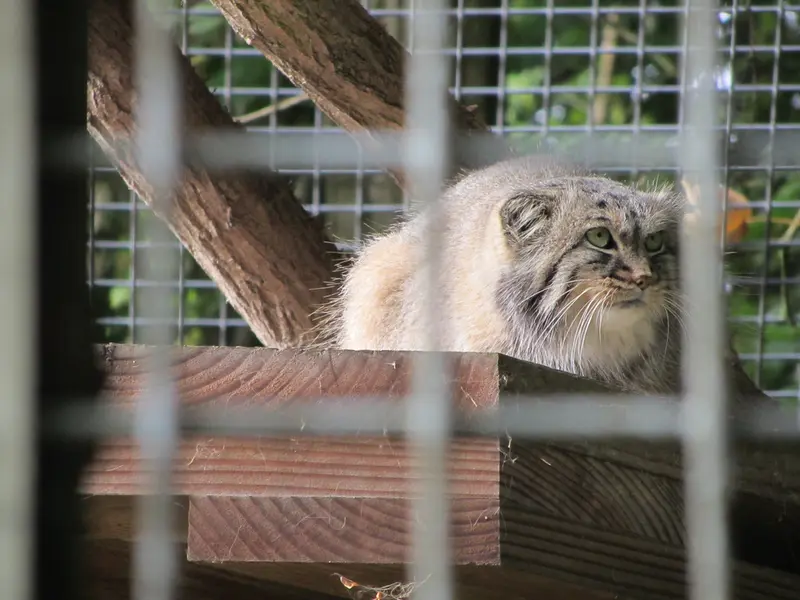 A photograph of Karl-Heinz in Saarbrücken Zoo