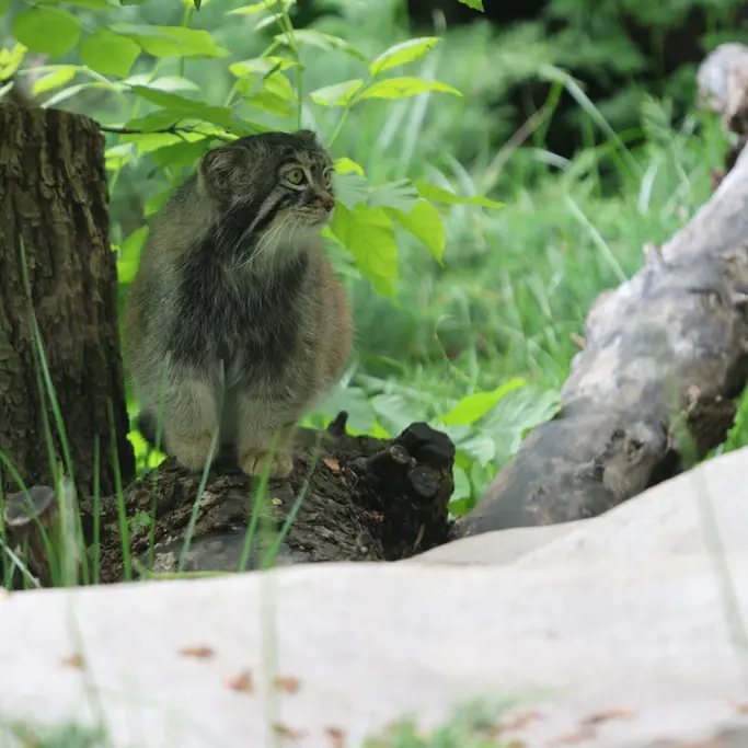 A photograph of Timofey in Moscow zoo