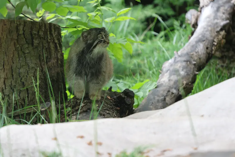A photograph of Timofey in Moscow zoo