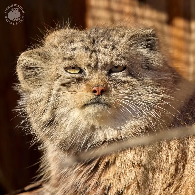 A photograph of Namika in Leningrad zoo