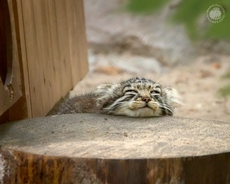Just five more minutes!