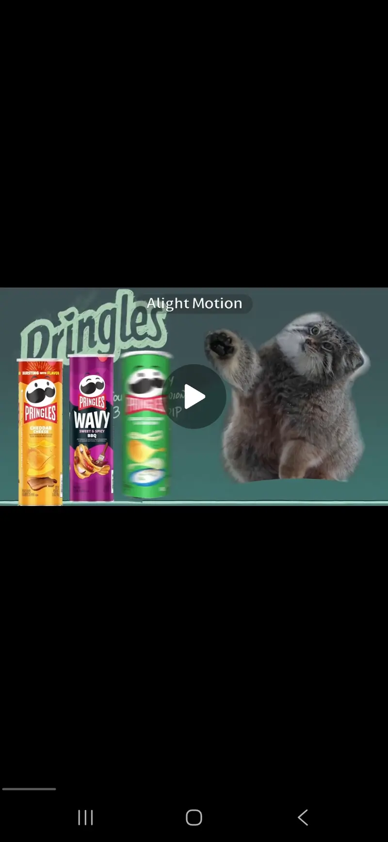 Help identify the manul kittens, part 2