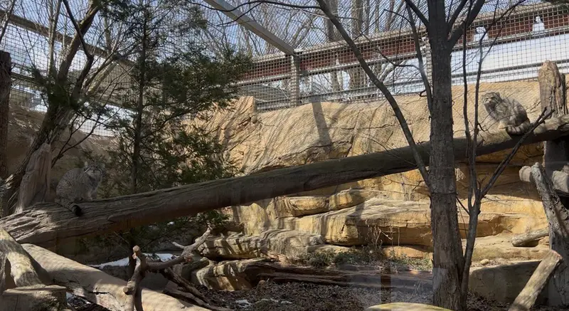 A photograph of Nagomu and Abrikos in Nasu Animal Kingdom