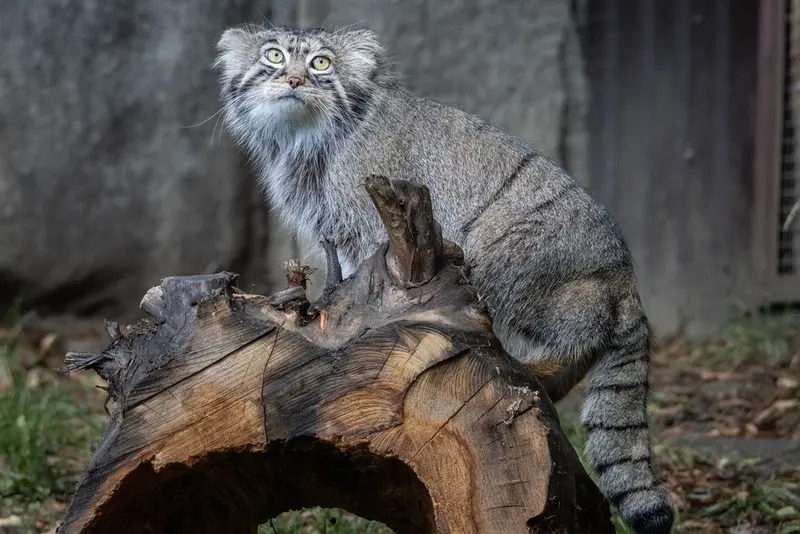 A photograph of Timofey in Moscow zoo