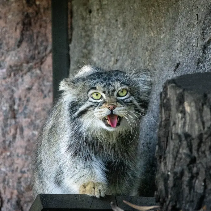 A photograph of Timofey in Moscow zoo