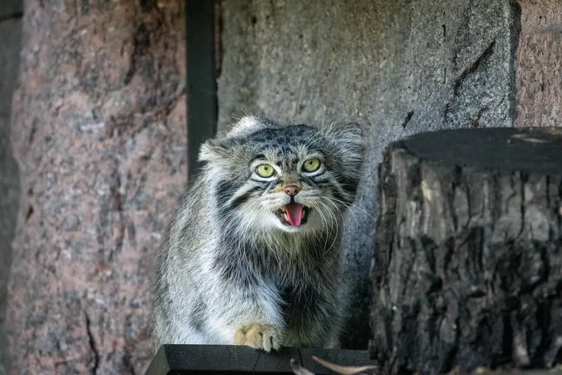 A photograph of Timofey in Moscow zoo