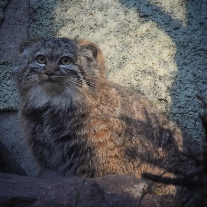 A photograph of Lucy in Budapest Zoo &amp; Botanical Garden