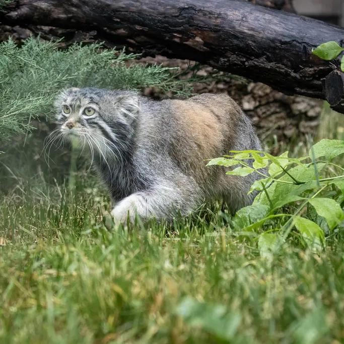 A photograph of Timofey in Moscow zoo