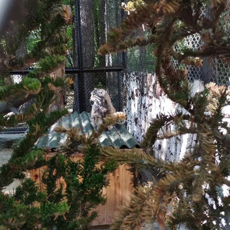 A photograph of Zelenogorsk in Novosibirsk Zoo