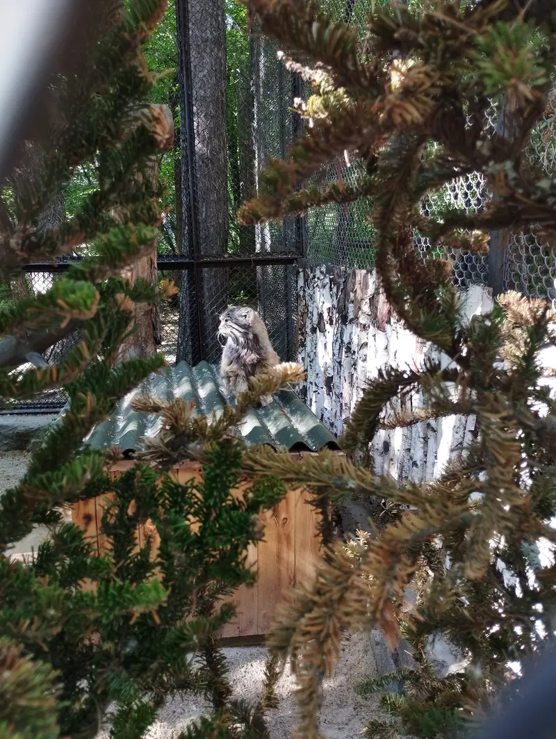 A photograph of Zelenogorsk in Novosibirsk Zoo