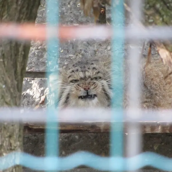 A photograph of Jonathan in Magdeburg Zoo