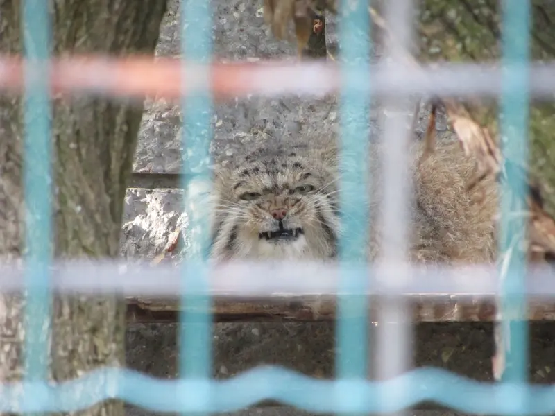 A photograph of Jonathan in Magdeburg Zoo