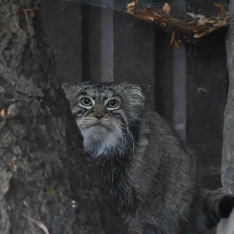 A photograph of Timofey in Moscow zoo