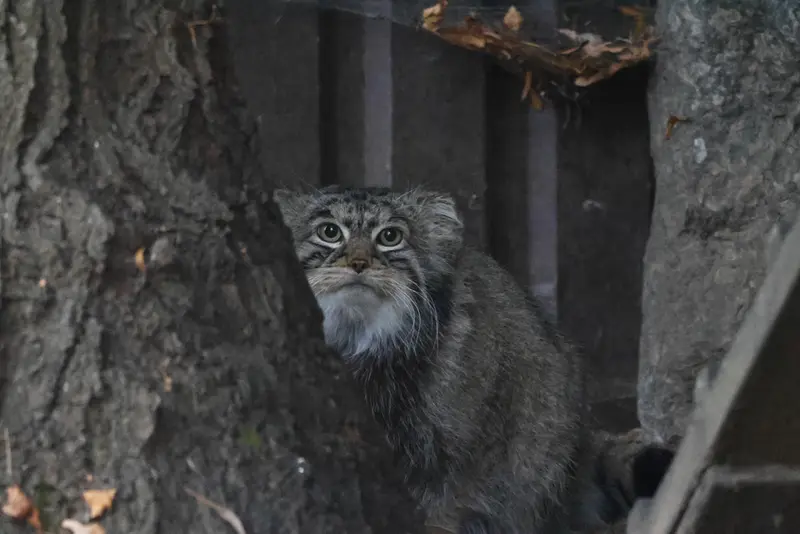 A photograph of Timofey in Moscow zoo
