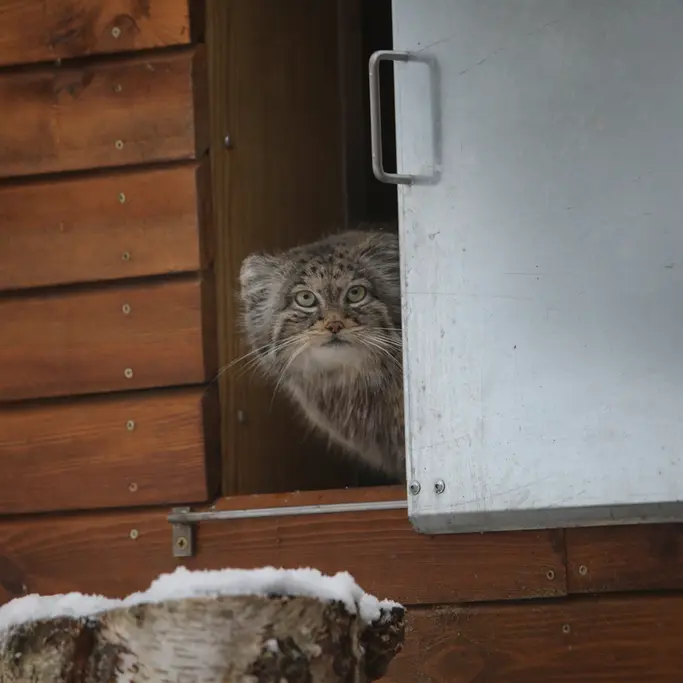 A photograph of Ula in Gdansk Zoo