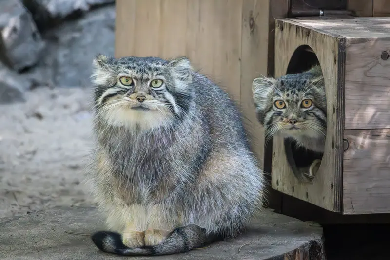 A photograph of Eve in Novosibirsk Zoo