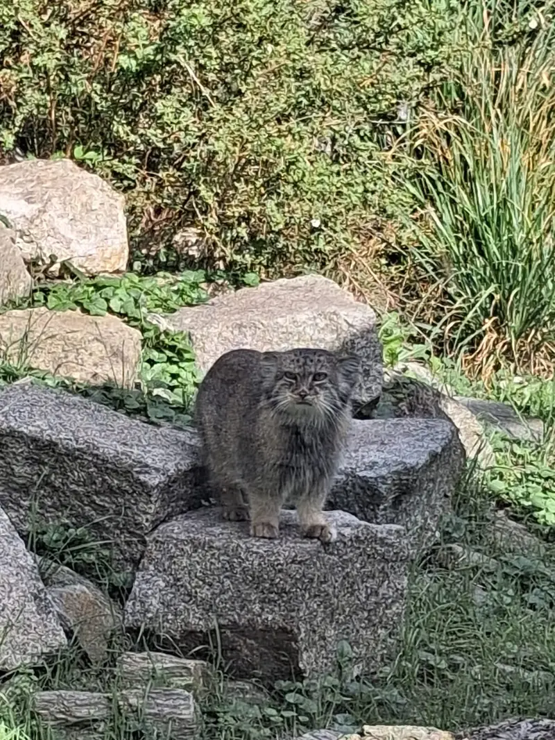 A photograph of Zarina in Wrocław Zoo