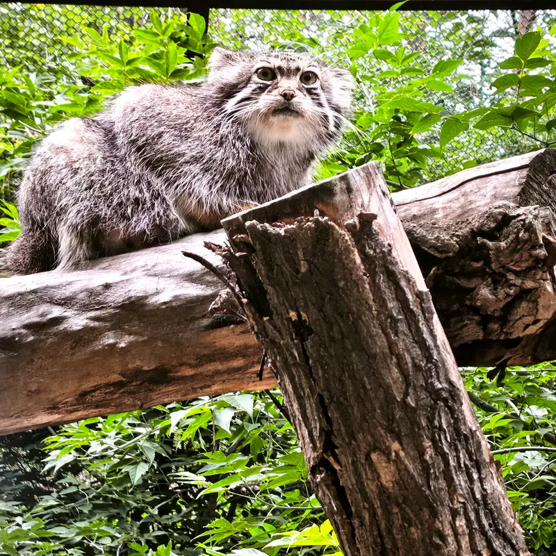A photograph of Eve in Novosibirsk Zoo
