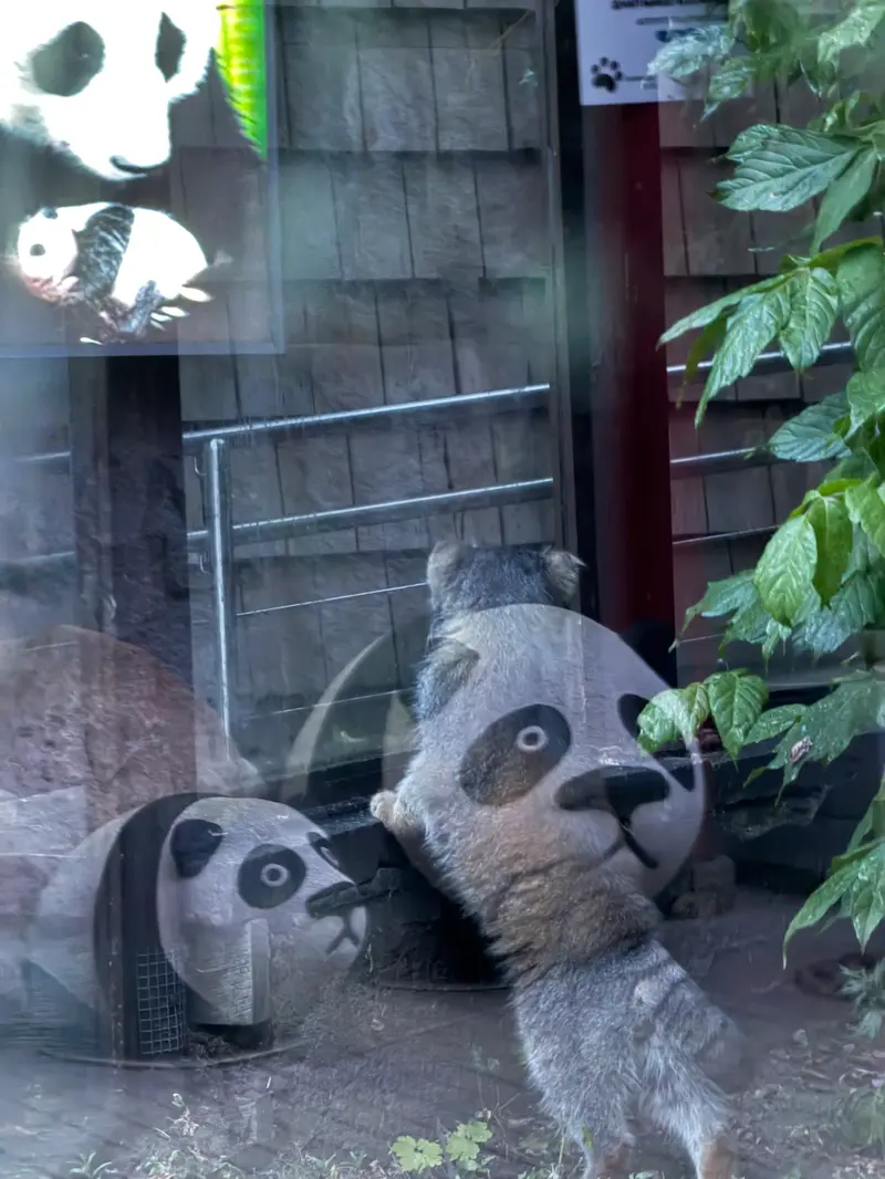 A photograph of Timofey in Moscow zoo