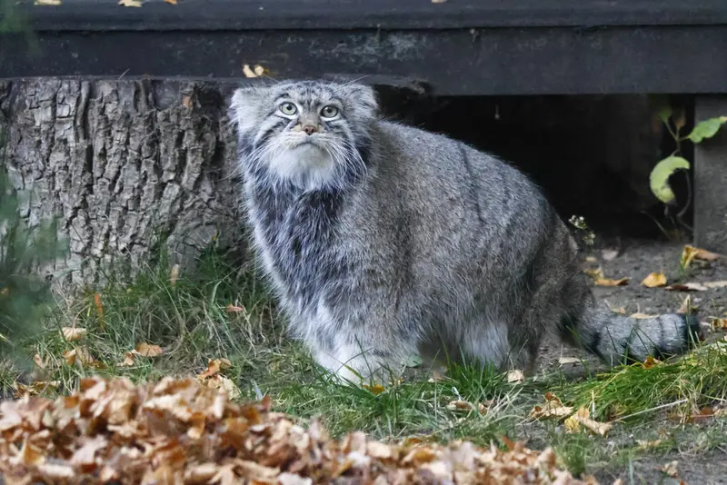 A photograph of Timofey in Moscow zoo