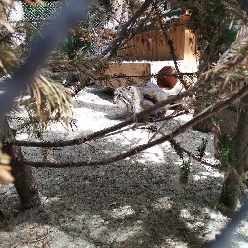A photograph of Zelenogorsk in Novosibirsk Zoo