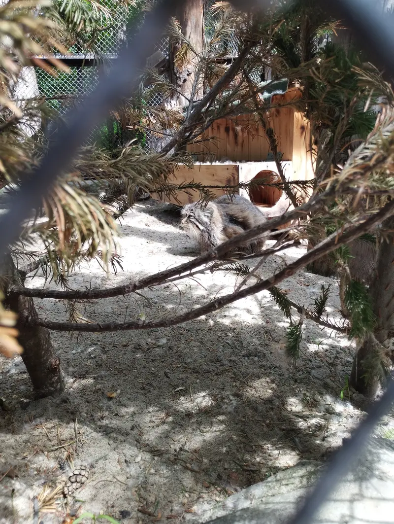 A photograph of Zelenogorsk in Novosibirsk Zoo