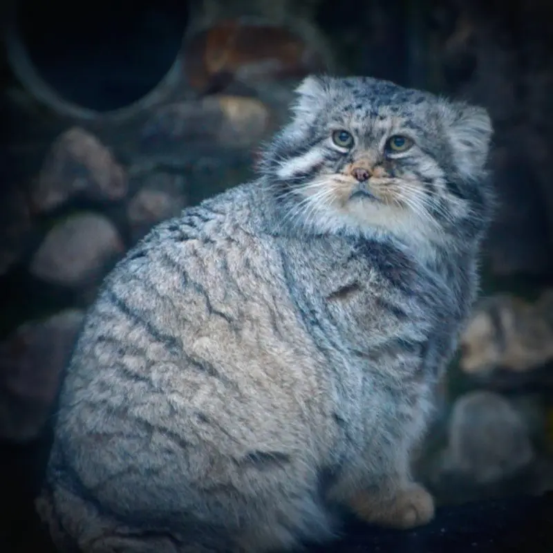 A photograph of Vadim in Moscow zoo