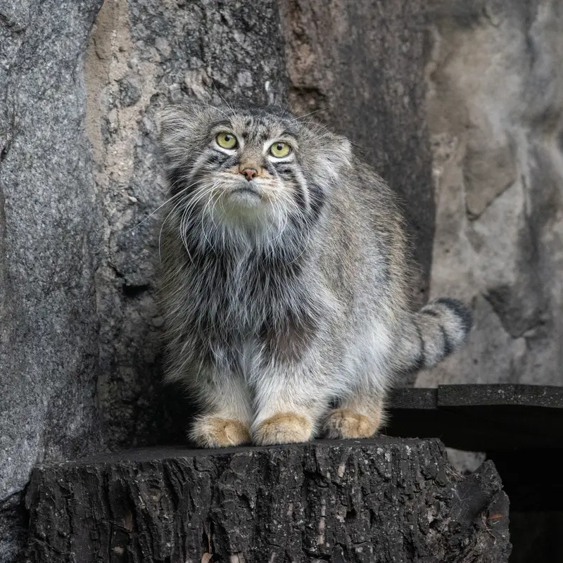 A photograph of Timofey in Moscow zoo