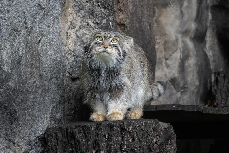 A photograph of Timofey in Moscow zoo