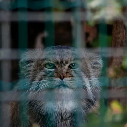 A photograph of Jonathan in Magdeburg Zoo