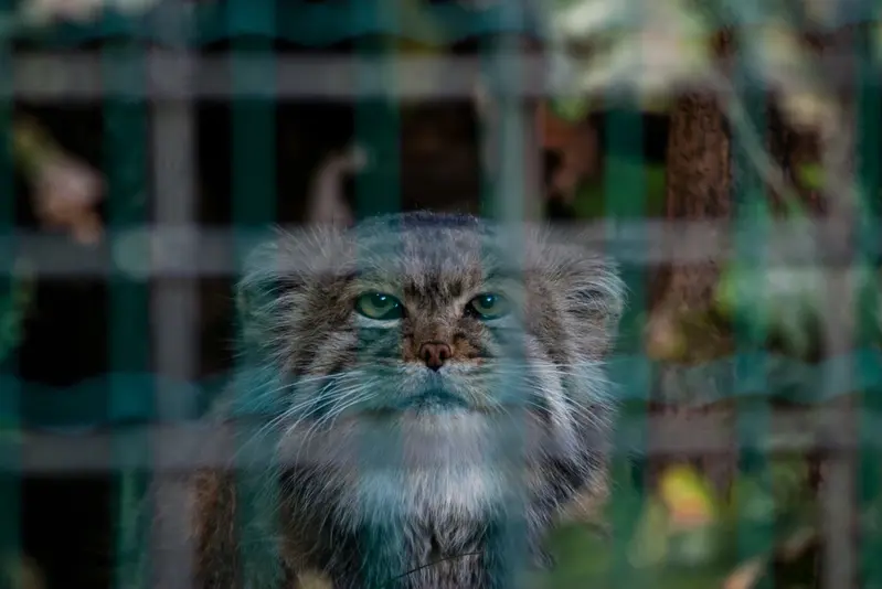 A photograph of Jonathan in Magdeburg Zoo