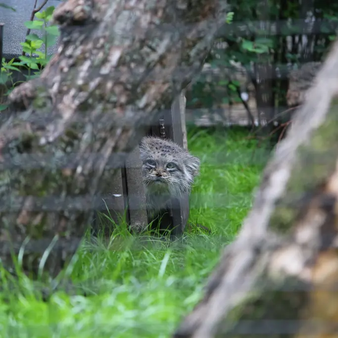 A photograph of Jessie in Warsaw Zoo
