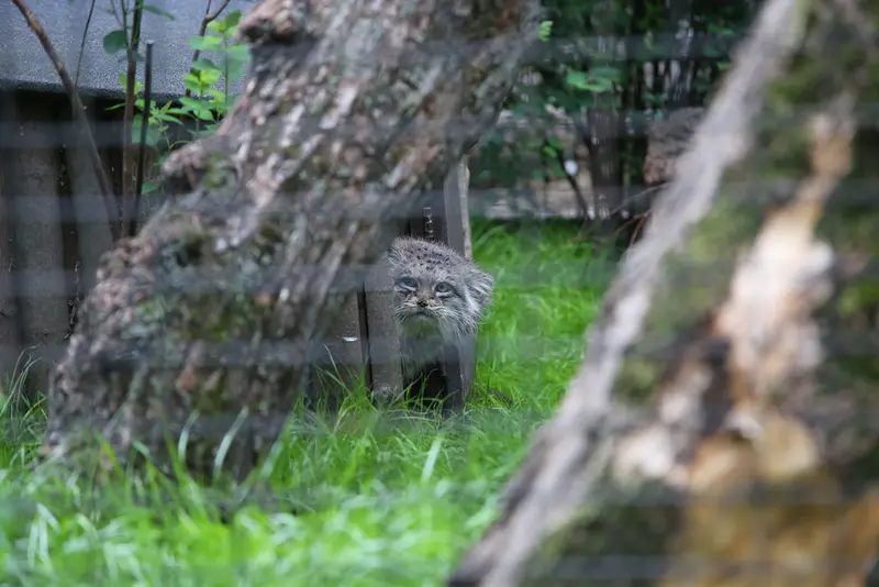 A photograph of Jessie in Warsaw Zoo