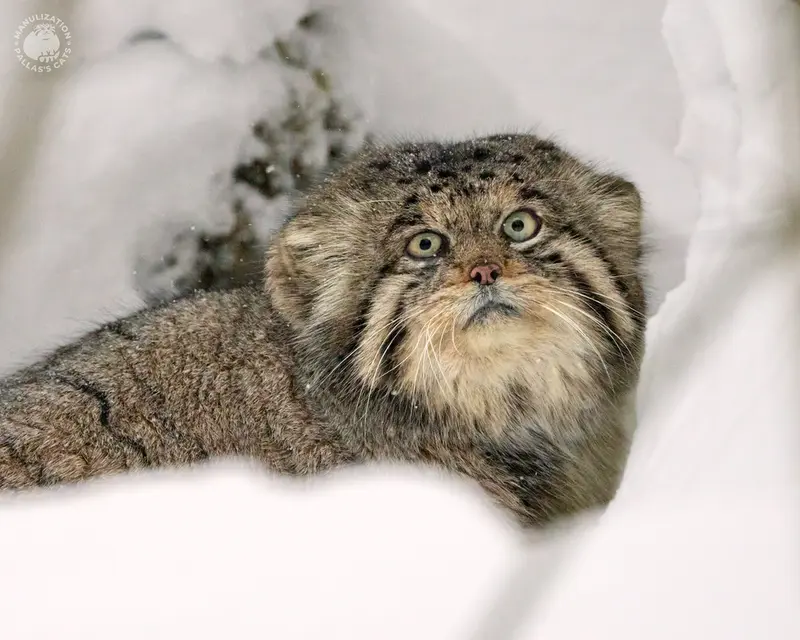 Happy birthday Karaganda's offspring!