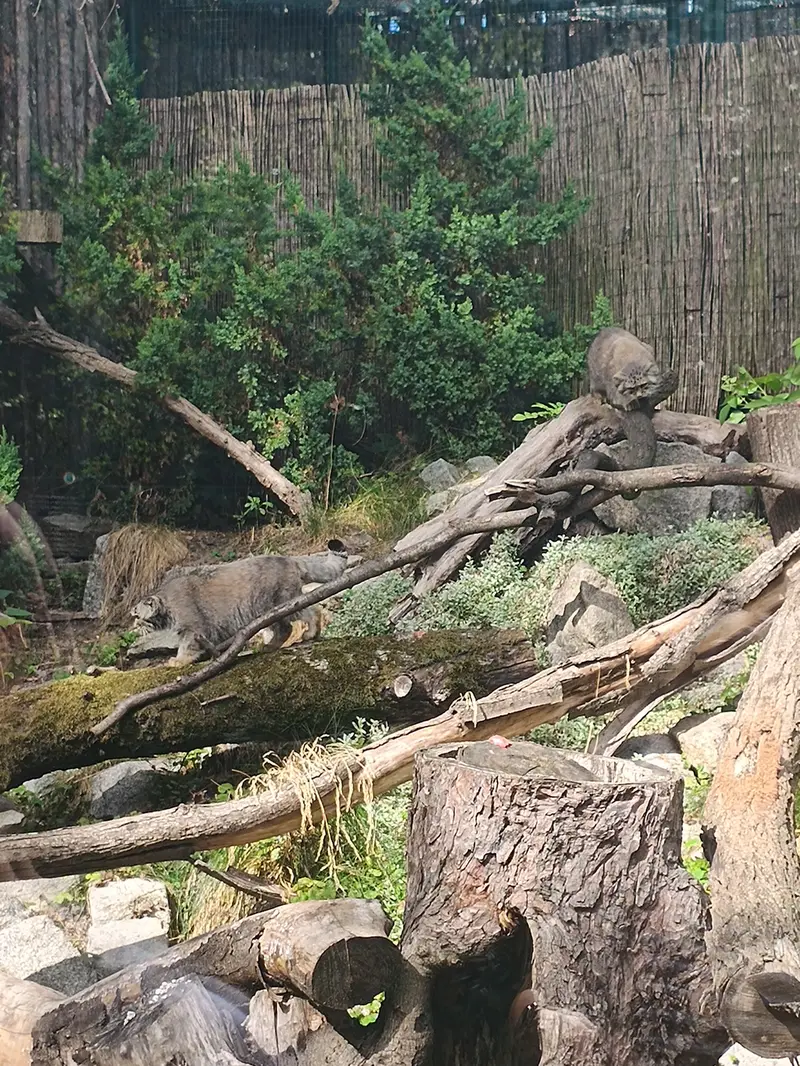 A visit in Wrocław Zoo