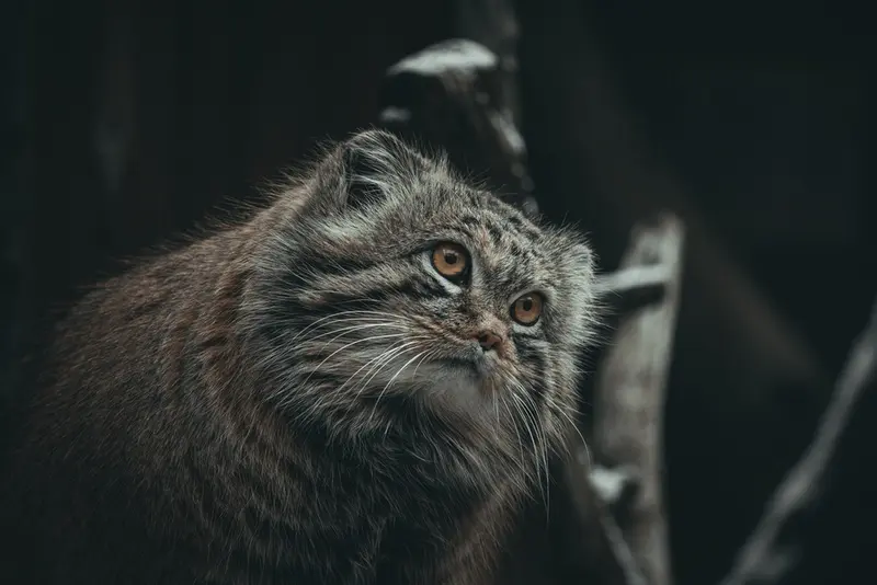A photograph of Mars in Tallinn Zoo