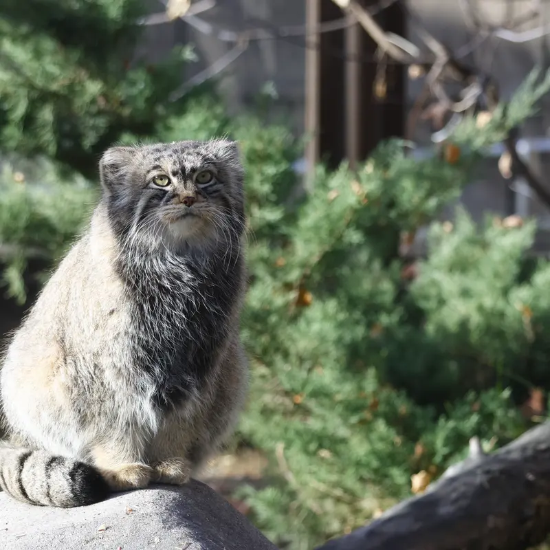 A photograph of Timofey in Moscow zoo