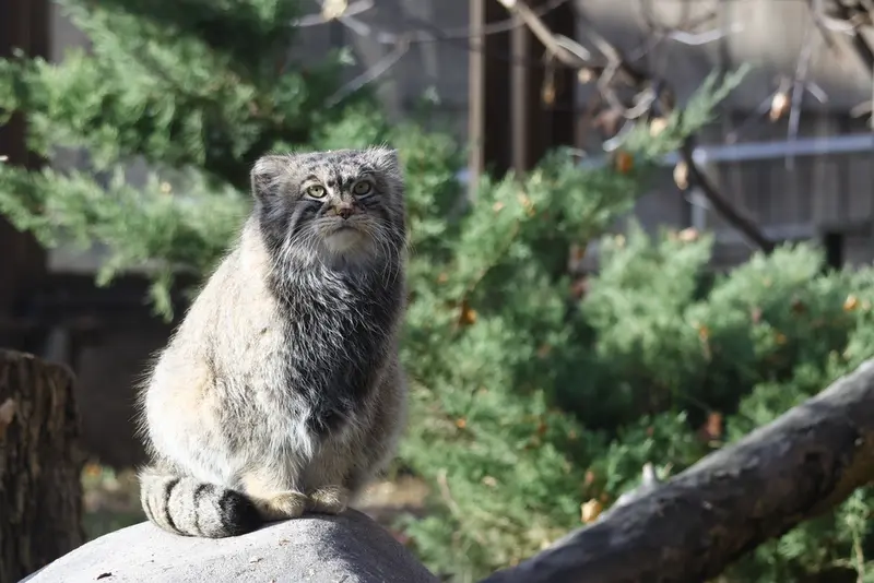 A photograph of Timofey in Moscow zoo